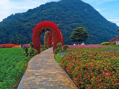 -广州市石门国家森林公园