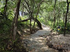 -玉渡山自然风景区