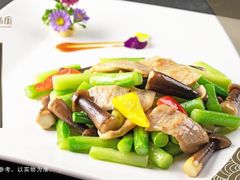 -春满园·早茶·粤菜·宴会(喜宴店)