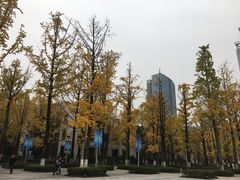 -两江幸福广场