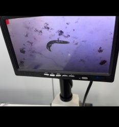点击看大图 -蕾特恩专业祛痘·皮肤管理