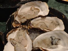 -牛New寿喜烧(金鹰世界店)