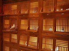 -锦绣金山人家(友谊店)