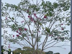 -莲花山公园