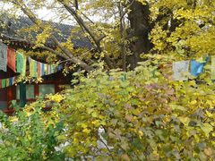 -紫竹院公园冰场