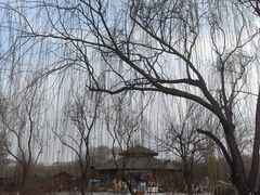 -南翠屏公园