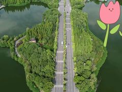 -成都南湖公园