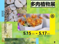 -瑞虹新天地月亮湾