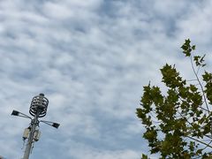 -中国建设银行(上海西郊支行)