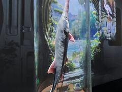 -中国湿地博物馆