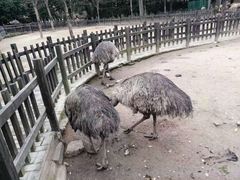 -南昌动物园