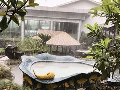 -明月山天沐温泉度假村