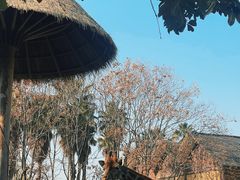 -南昌动物园