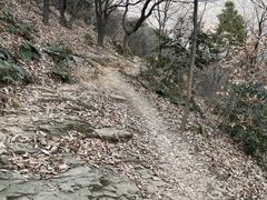 -惠山国家森林公园