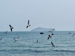 -银沙滩浴场