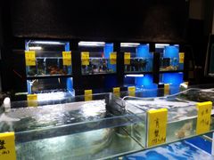 水产区-蓝鲸(国浩路店)