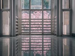 -华中科技大学光谷体育馆