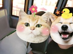 -星城之眼摩天轮