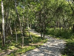 -玉渡山自然风景区