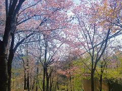 -崂山巨峰游览区
