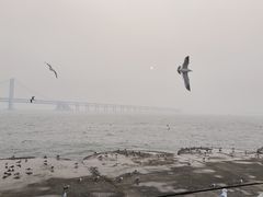 -星海广场