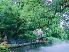-古堰画乡景区