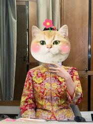 -金夫人婚纱摄影(总店)