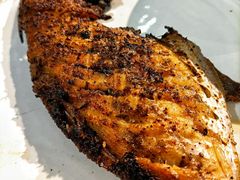 烤竹仔鱼-丁字口海鲜热炒·烧烤大排档