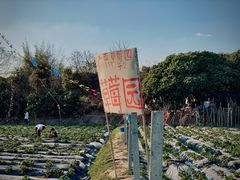 -天适樱花悠乐园