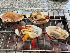 -震海贝烤贝·民俗特色店(延吉总店)
