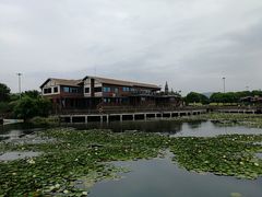 -新木器时代餐厅(太湖新天地店)