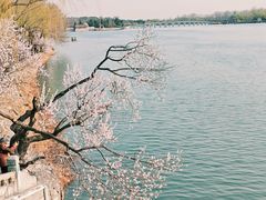 -颐和园