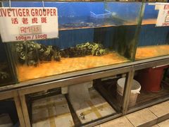 -真浪花园海鲜餐馆