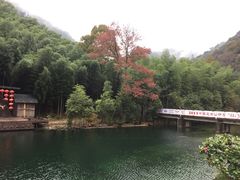 -祁门牯牛降观音堂风景区