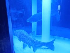 -解家河南菜(商鼎路店)