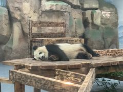 -无锡动物园·太湖欢乐园