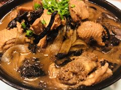 -食家鸽园