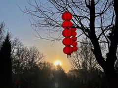 -大槐树寻根祭祖园