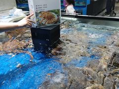 -盒马鲜生(杨高南路店)
