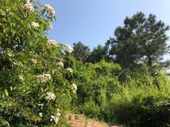 -缥缈峰景区