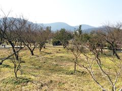 -林屋洞景区