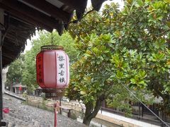 -黎里古镇