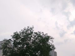 -味多美蛋糕(金顶街店)