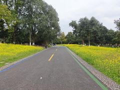 -张坝桂圆林公园