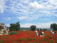-羊亭河湿地公园