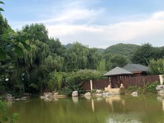 -静之湖度假区