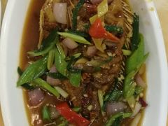 清蒸红宝石鱼-小海豚•老字号海鲜餐厅(天涯店)