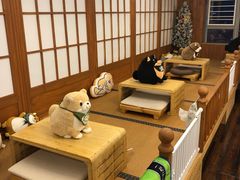 -豆柴町-柴犬主题狗咖(红鼎国际C座店)