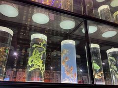 -广东中医药博物馆