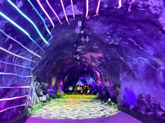 -栾川竹海野生动物园